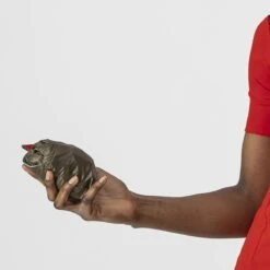 Castelli Aria W Vest -Castelli Wear Shop castelli aria w vest 374143 16