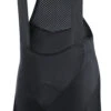 GORE C3 Bib Shorts+